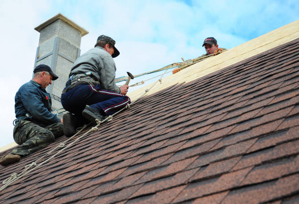 Best Roof Gutter Cleaning  in Churchville, PA